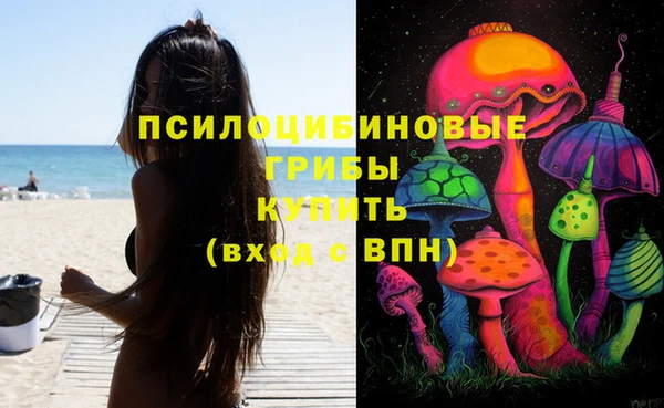 a pvp Богородицк