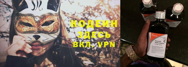 молекула духа Пестово